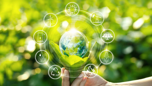 Harnessing Hope: An Introduction to Renewable Energy and Climate Action